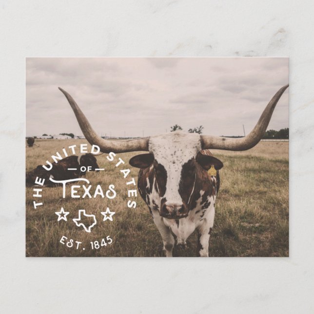 Förenta Staterna Texas Postcard Vykort (Framsida)