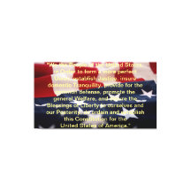 Förenta staternas konstitution: ingress