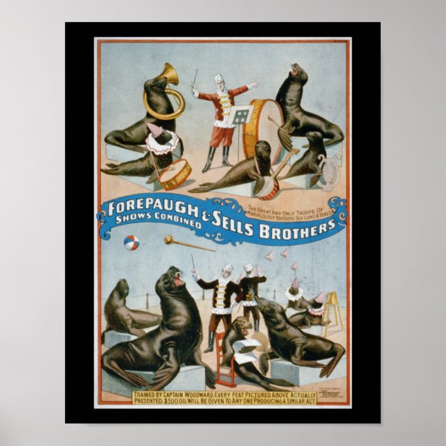 Forepaugh och Sells - vintage cirkussealioner Poster (Framsidan)
