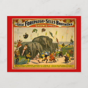 Forepaugh & Sells Brothers Elephants Circus Poster Vykort
