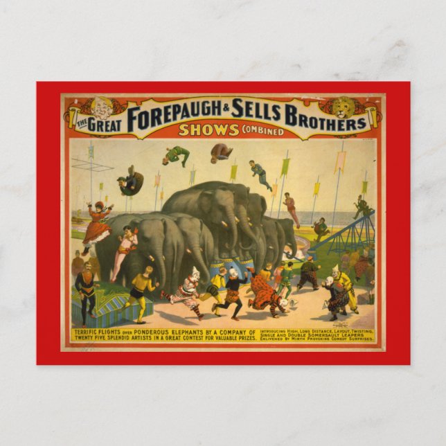 Forepaugh & Sells Brothers Elephants Circus Poster Vykort (Framsida)