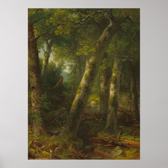 Forest - Asher Durand Fine Art Poster (Framsidan)