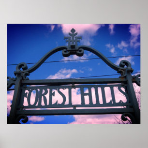 Forest Backe, Queens, NYC Poster