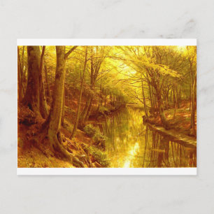 Forest-bilder-8 Vykort