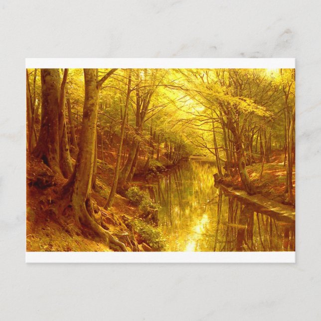 Forest-bilder-8 Vykort (Framsida)