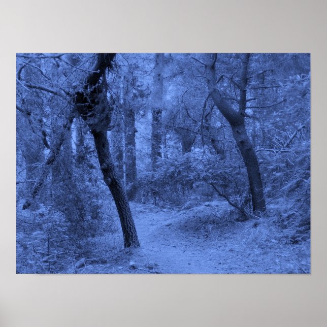 Forest Blues Poster (Framsidan)