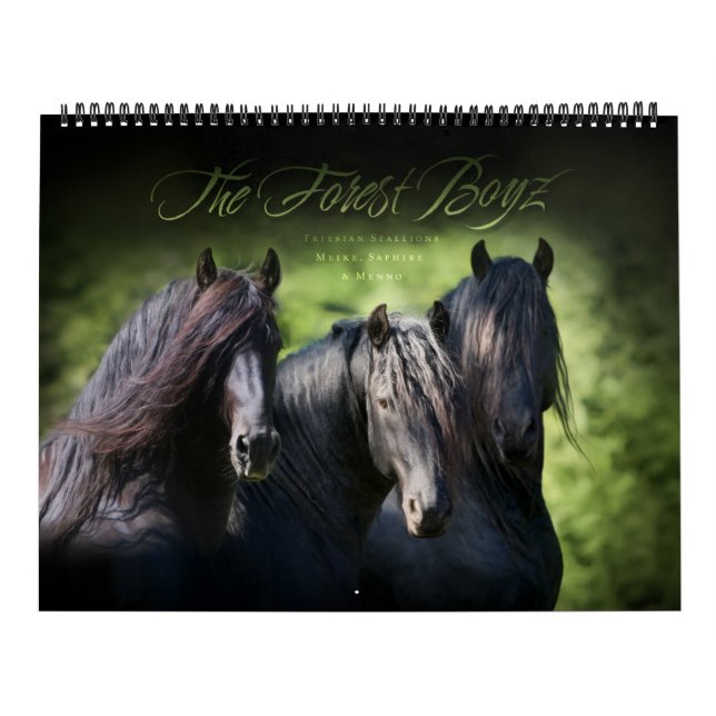 Forest Boyz - Att leva i drömmen Kalender (Omslag)