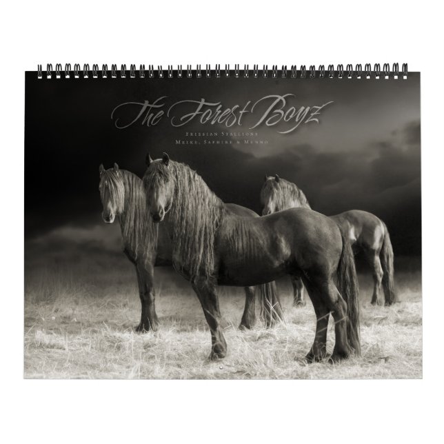Forest Boyz - helhjärtad kalender (Omslag)