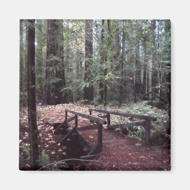 Forest Bridge - Humboldt Redwood State Park Magnet (Framsidan)