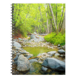 Forest Creek Nature Landscape Photo Print Art Anteckningsbok