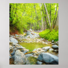 Forest Creek Nature Landscape Photo Print Art Poster