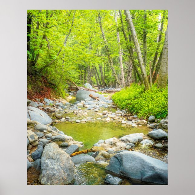 Forest Creek Nature Landscape Photo Print Art Poster (Framsidan)