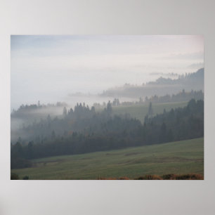 Forest dimpieniny poster