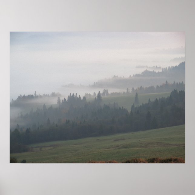 Forest dimpieniny poster (Framsidan)