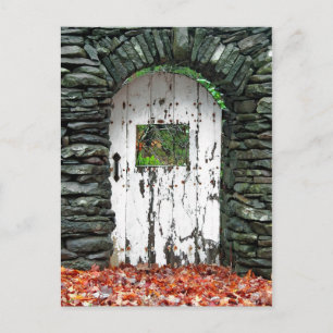 Forest Door Vykort