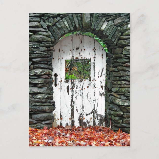 Forest Door Vykort (Framsida)