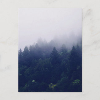 Forest Fog Vykort