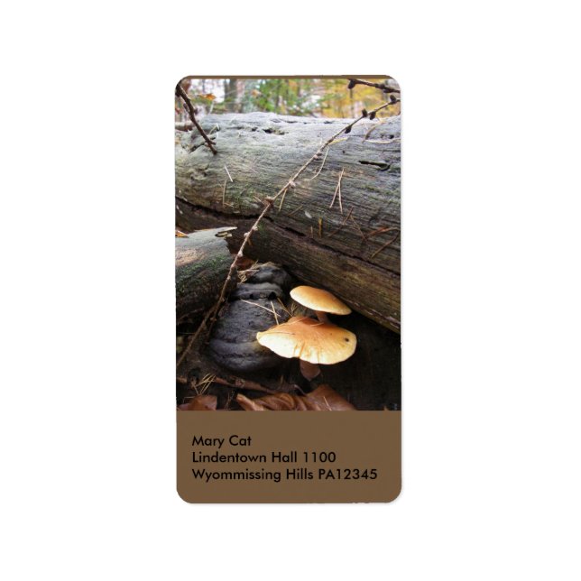 Forest Fungi #3 Adressetikett (Framsidan)