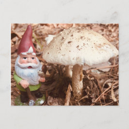 Forest Gnome Vykort