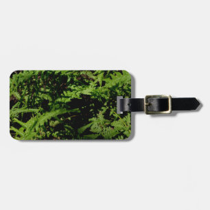 Forest Golv Ferns Bagagebricka