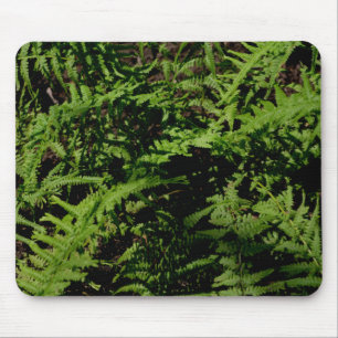 Forest Golv Ferns Musmatta