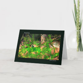 Forest Golv Fractal Art Notecards Kort