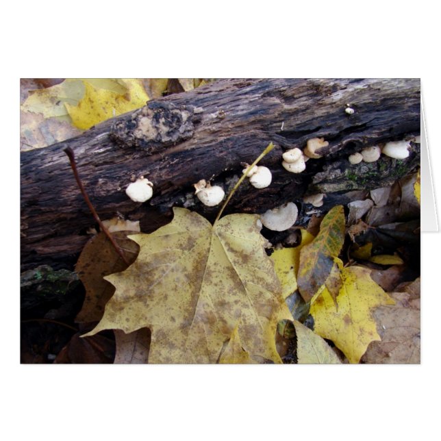 Forest Golv Hälsningskort (Framsidan Horizontal)