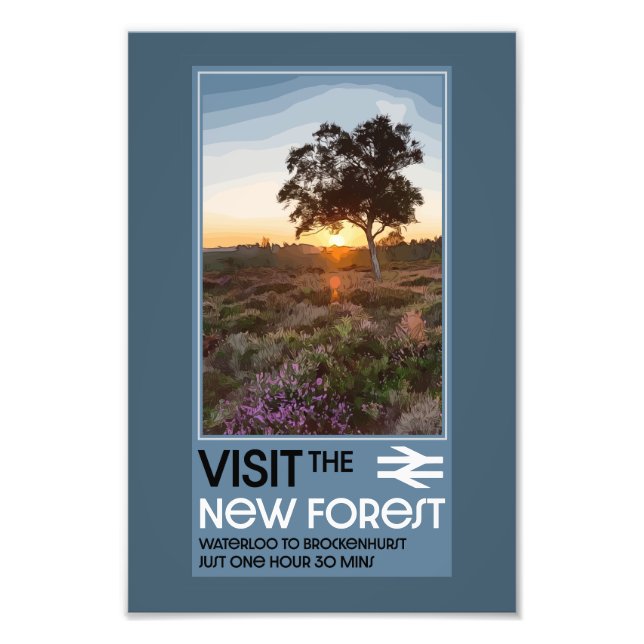 Forest Hampshire England Fototryck (Framsidan)