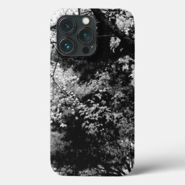 Forest Löv Foliage Mönster Nature Black White