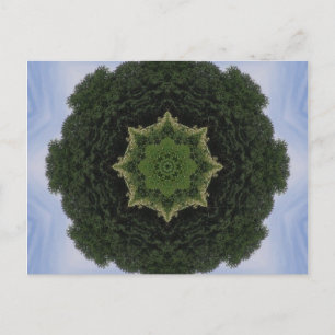 Forest Mandala Vykort
