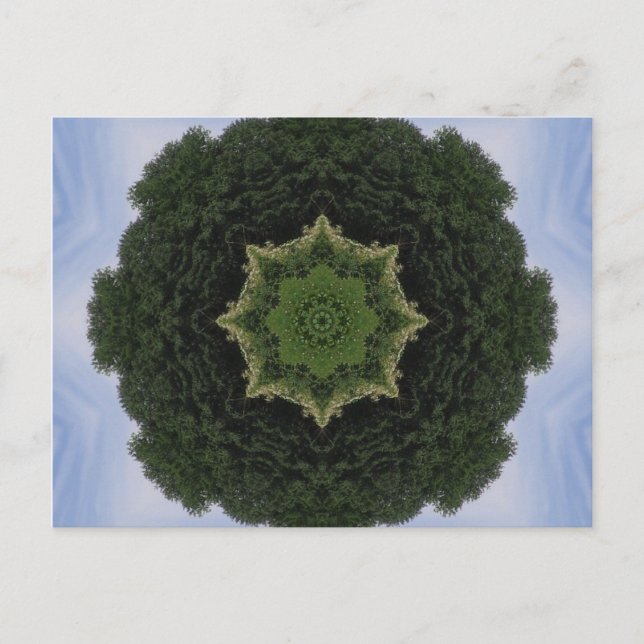 Forest Mandala Vykort (Framsida)