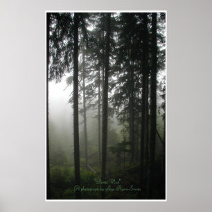 "FOREST MIST" Fotoutskrift av Wilderness Forest Poster
