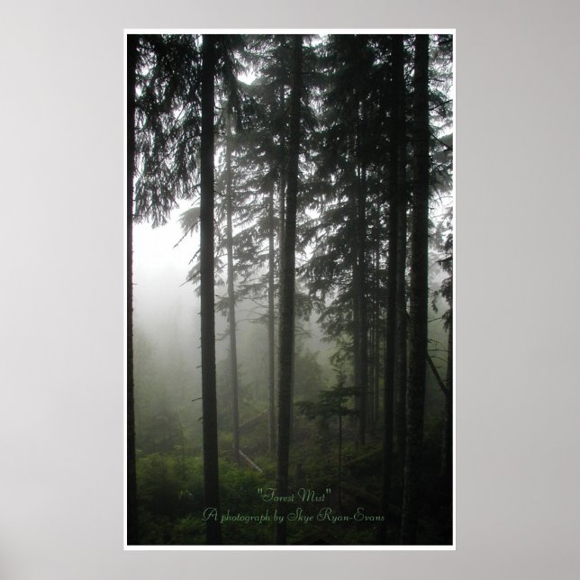 "FOREST MIST" Fotoutskrift av Wilderness Forest Poster (Framsidan)