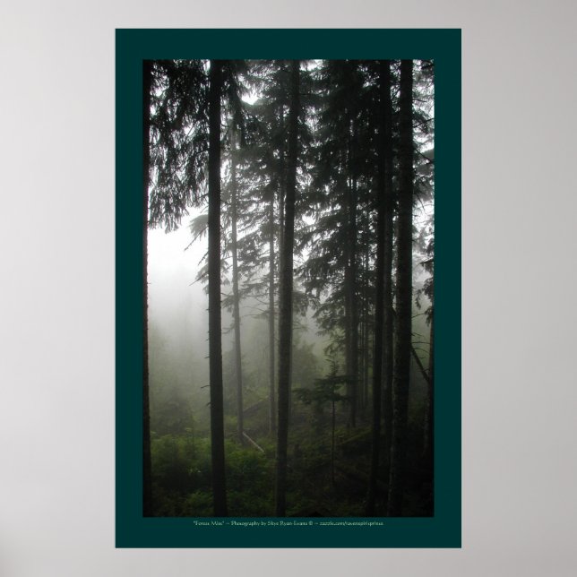 "FOREST MIST" Fotoutskrift av Wilderness Forest Poster (Framsidan)