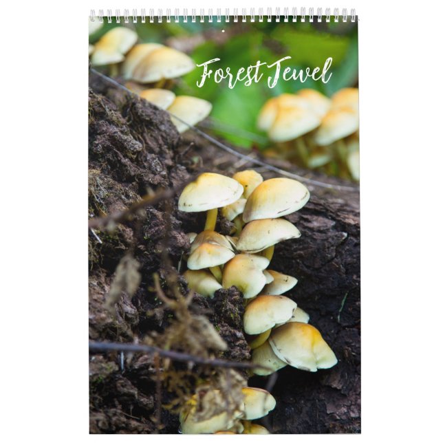 Forest Mushrooms Calendar Kalender (Omslag)