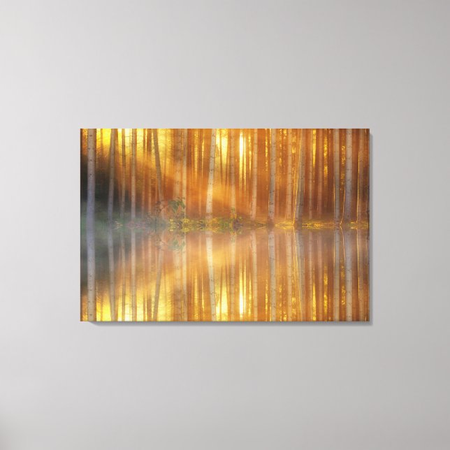 Forest of Birch Träd Canvas Wall Art (Framsida)