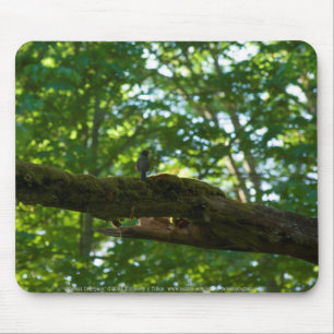 Forest Overpass Mousepad Musmatta