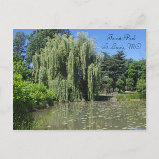 Forest Park Weeping Willow på Pond Vykort