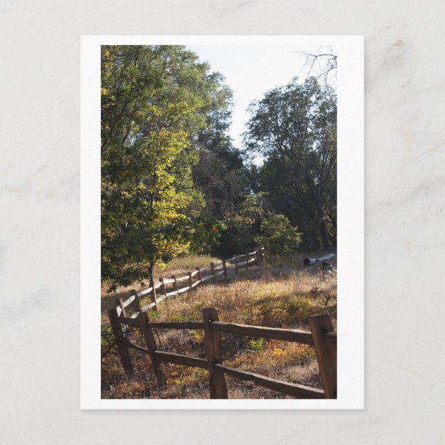 Forest Pathway Vykort (Framsida)