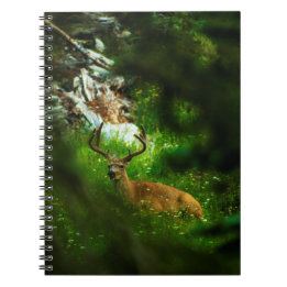 Forest Prince Anteckningsbok