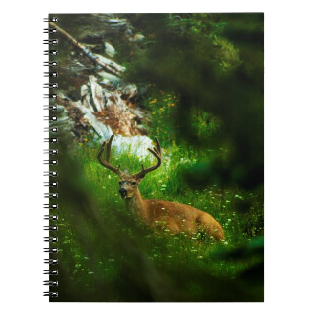 Forest Prince Anteckningsbok (Framsidan)