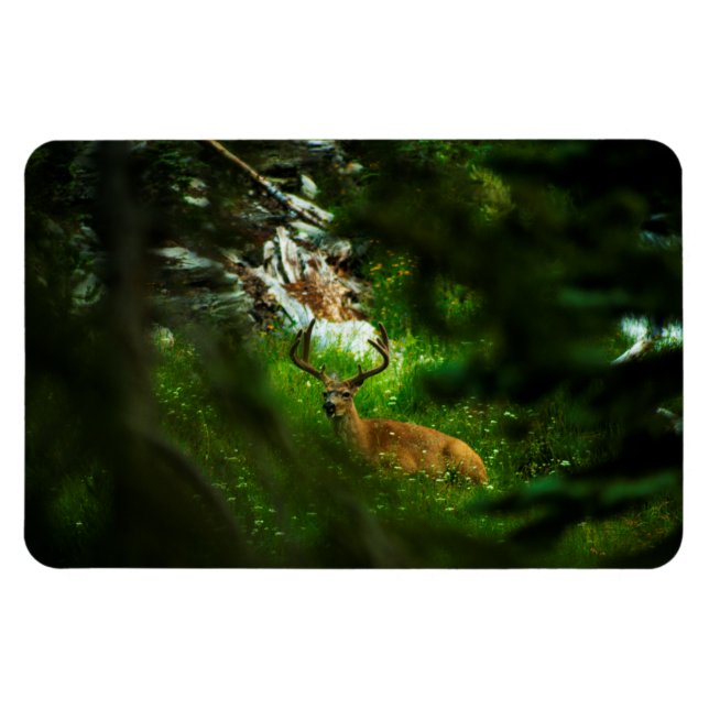 Forest Prince Magnet (Horisontell)