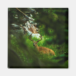 Forest Prince Magnet