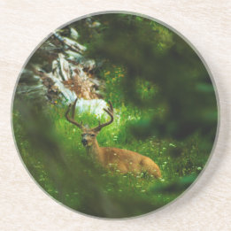 Forest Prince Underlägg