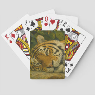 Forest Reverie - Resterande tigern i Jungle Light Casinokort
