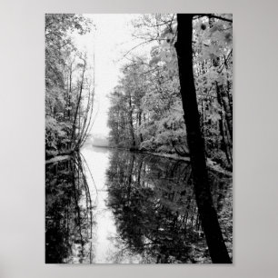 Forest River Black and White Poster