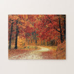 Forest Road - Fall Pussel<br><div class="desc">Forest Road - Fall</div>