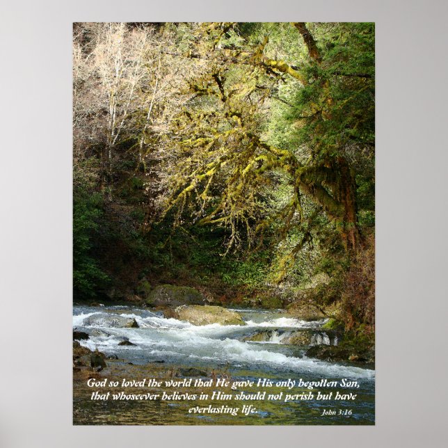 Forest & Rushing River John 3:16 Skriv ut Poster (Framsidan)