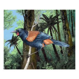 Forest Saddleback Bird Fototryck