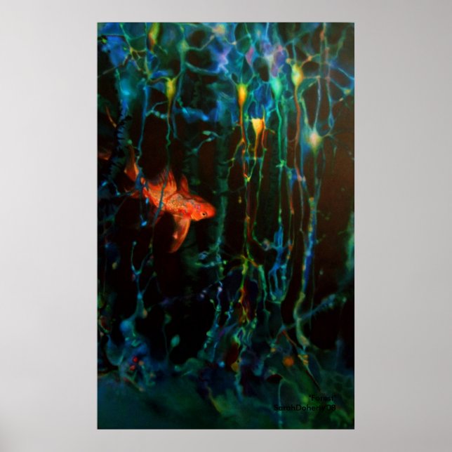 "Forest" Sarah Doherty 2008 Poster (Framsidan)